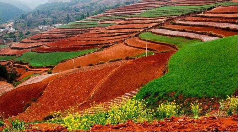 中國(guó)土壤幾病癥，該如何管理土壤？