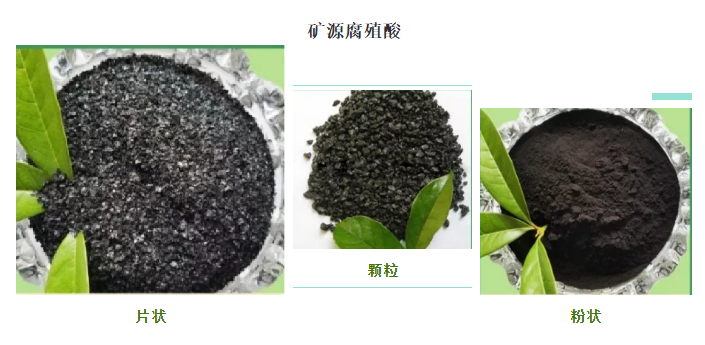 看過(guò)來(lái)！帶你了解司普沃赫蔓核心成分-礦源腐殖酸