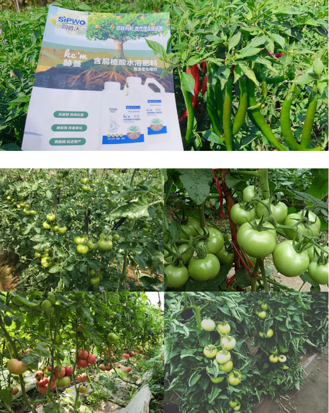 1619056684109472.png 4.png