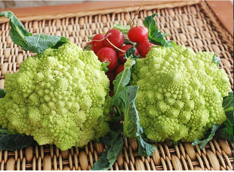 司普沃淺談花椰菜細菌性黑斑病防治技術(shù)與管理