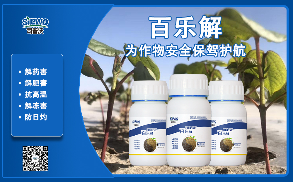 司普沃赫蔓百樂(lè)解，解凍害、解肥害、解藥害，棉花上再顯神威！
