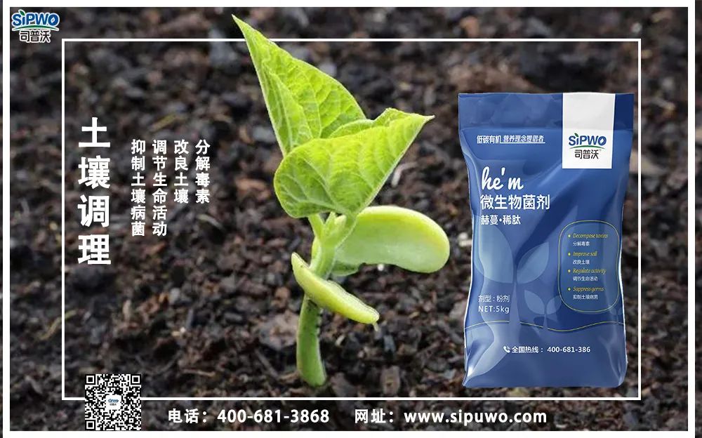 【農(nóng)技知識】土壤出問題了，肥料用再多也別想增產(chǎn)！