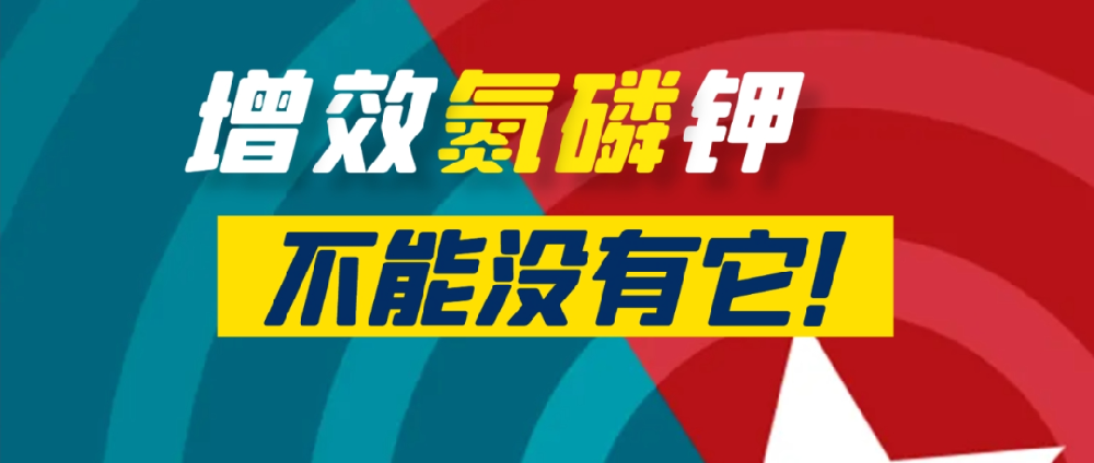 要想作物長得好，中量元素少不了！