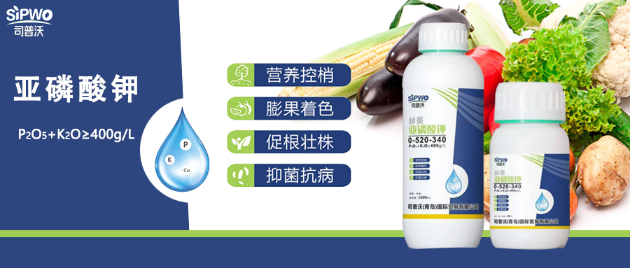 赫蔓·亞磷酸鉀|亦藥亦肥：營養(yǎng)控梢，防病抑菌用處大