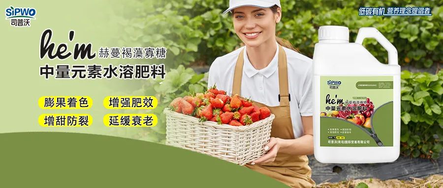 褐藻寡糖--中量元素水溶肥|膨果著色、增強(qiáng)肥效、增甜防裂、延緩衰老