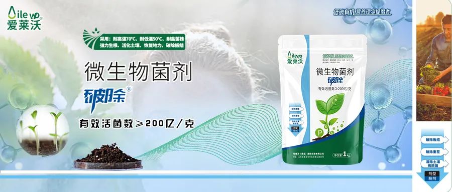 愛萊沃·微生物菌劑_破除|沃土、生根、抗病一步到位