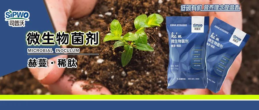 強(qiáng)需之下爆火的產(chǎn)品—赫蔓-稀肽·微生物菌劑