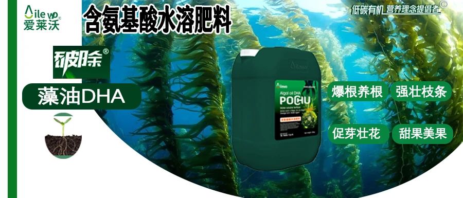 愛萊沃·破除藻油DHA|爆根養(yǎng)根、強(qiáng)壯枝條、促芽壯花、甜果美果