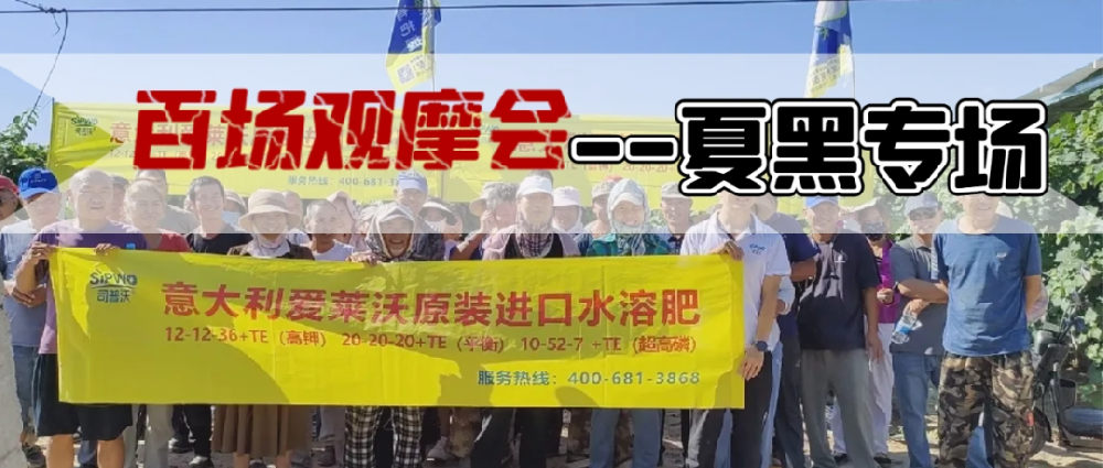 新疆博樂地區(qū)夏黑葡萄觀摩會圓滿成功，司普沃功能肥閃耀全場