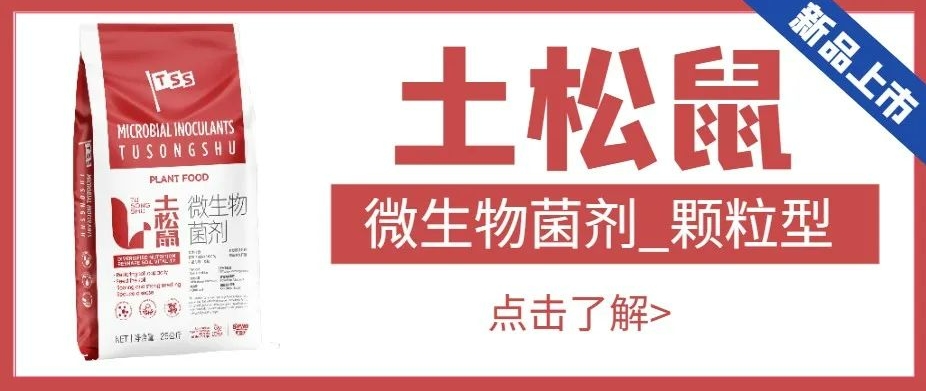 【匠心出品】微生物菌劑-土松鼠|恢復(fù)地力、肥沃土壤、爆根壯苗、降低病害