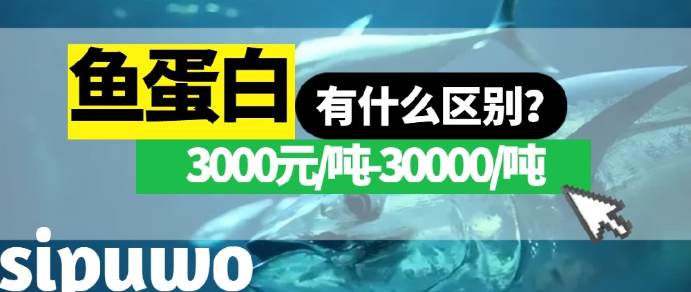 3000-30000元/噸的魚蛋白有多大差距？一篇文章告訴你！